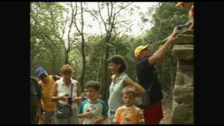 i percorsi naturali nel bosco felice insieme a legambiente [upl. by Tdnerb]