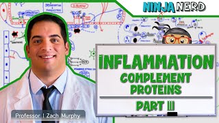 Immunology  Inflammation Complement Proteins Part 3 [upl. by Ecnal8]