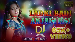 New Dj Remix Song  New Hindi Dj Hard Bass  Ladki Badi Anjani 2024 [upl. by Edmond]