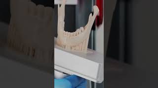 Flashforge Focus 6K resin 3Dprinting timelapse with Liqcreate [upl. by Yxel602]