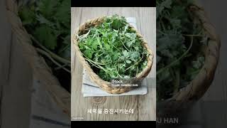 쑥의 놀라운 효능 5가지 Mugwort an Incredibly Versatile Herb [upl. by Kcub]