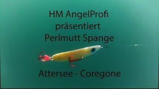 KÖDERSPIEL PERLMUTTSPANGE ATTERSEE [upl. by Yovonnda]