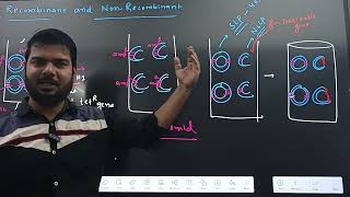 RECOMBINANTNON RECOMBINANTTRANSFORMANTNON TRANSFORMANTBIOTECHONOGY CLASS12NEET [upl. by Ottinger930]