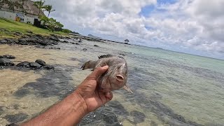 Grand Gaube Public beach  Beautiful beach  Mauritius island 🏝️🇲🇺 [upl. by Konstance]