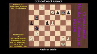 Kastner Walter vs Spindelboeck Gernot Puzzle No 172 [upl. by Aneeles]