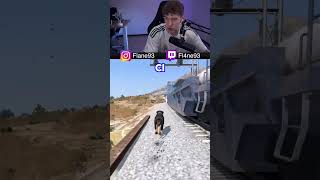 Animali Vs Treno su Gta 5 [upl. by Lorimer]