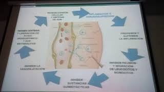 METILXANTINAS GLUCOCORTICOIDES ANTILEUCOTRIENOS DR JAVIER URQUIZA [upl. by Ellatsirhc]