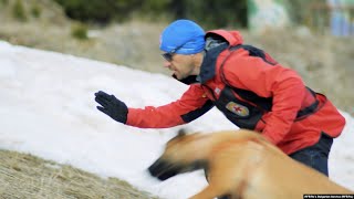 Bulgarian Mountain Rescue Dog Teams Rely Heavily On Volunteers [upl. by Onfre439]