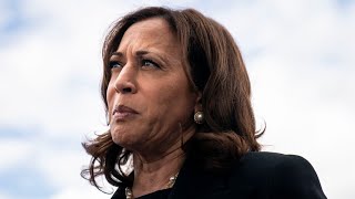 ‘Refuses to comment’ Kamala Harris blasted for media silence [upl. by Rancell996]