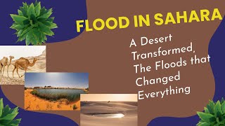 Unprecedented Floods Transform Sahara Desert A Sign of Climate Change 🌧️🌍 [upl. by Royall]