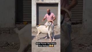 When Goat Trader Farmer Says Bakra Khud Batayga Wo kya hai Bakra Be Like Ye le🤣🤣🤣 [upl. by Vasti]