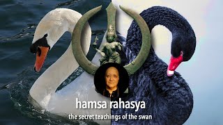 Hamsa Rahasya Discovering The Tantric Secrets of the Immortal Swan [upl. by Ellenad12]