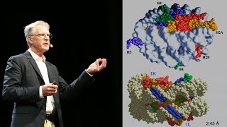 Peter Dervan Transcription Factor Antagonists From Discovery to Oncology [upl. by Lainahtan62]