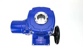 Stainless Steel Ball Valve ElephantBVсFP316200 PSI232 [upl. by Aronek]