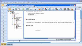 Levenes test  SPSS part1 [upl. by Rennat622]