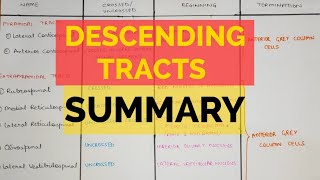 Descending Tracts  Summary [upl. by Iuqcaj]