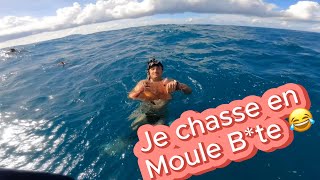 Chasse sous marine septembre 2023 Catch Clean and Cook  chassesousmarine spearfishing [upl. by Yelhak952]