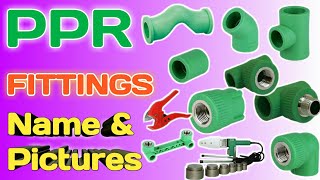 PPR Fittings Name and Pictures Plumbing Fittings Name  PPR Fittings Names List Plumbing Material [upl. by Calan220]