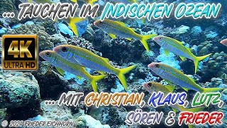 Tauchen im Indischen Ozean 🐡 🐠 🦞 [upl. by Ray]