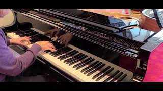 Seiler ED186 Grand Piano Demonstration [upl. by Bobby997]