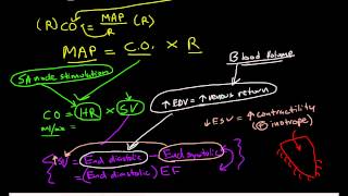 Physiologic Determinants of Blood Pressure [upl. by Clancy]