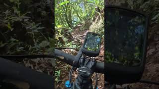 Ciclismo de Montaña Trillos Increíbles y Naturaleza Pura mtb ciclismo ebike pedaleando [upl. by Eram]