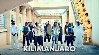 Dogo Janja amp Loui  Kilimanjaro Official Music Video [upl. by Rramal733]