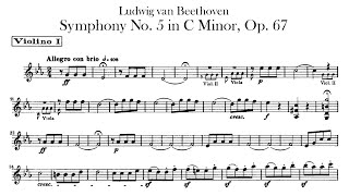 Beethoven Symphony No 5【1st Violin】 Op67 C minor sheet music [upl. by Dacie]