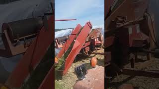 chopping hay and planting corn update videos eventually 🤞👍 dairy farmall wisconsin [upl. by Brear]