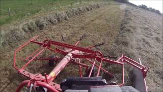 Andainage 2016  DeutzFahr Agrofarm 410T amp andaineur Kuhn GA 3201 GM On Board [upl. by Nainatrad]