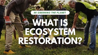 What is Ecosystem Restoration  Regreening the Planet Part 2 [upl. by Aihsia]