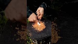 it is important that YOU KNOW CAMPING equipment camping survival bushcraft outdoors [upl. by Jacobsohn]