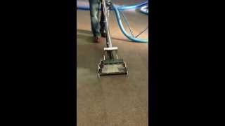 Carpet cleaning satisfying ocd cleaning Turlock [upl. by Llennej]