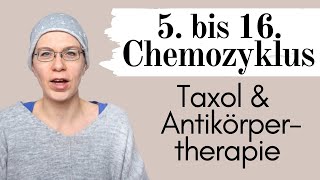 5 bis 16 Chemozyklus Taxol und Antikörpertherapie  Brustkrebs her2 positiv  Wyldest Life [upl. by Ettegdirb]