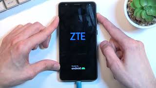 How to Accomplish Hard Reset on ZTE Blade A31  Hard Reset via Recovery Mode [upl. by Inittirb79]