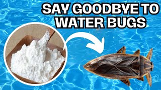 How to Get Rid of Water Bugs Permanently This Method is Brilliant [upl. by Nera]