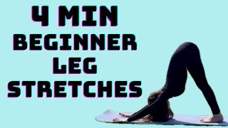 Leg Stretches for BEGINNERS  4 min leg stretch [upl. by Toomay202]