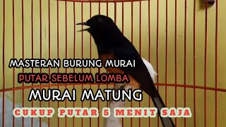 MASTERAN MURAI BATU isian lomba full materi [upl. by Annol]