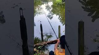 Amazing hook fishing fishing hookfishing [upl. by Attenauqa]