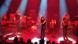 Lesoir  SingleEyed Hedon Zwolle 26032019 [upl. by Nnaasil]