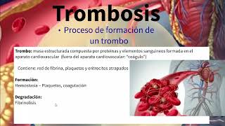 TEMA 7 1 FISIOPATOLOGÍA CARDIOVASCULAR Parte 1 video 2 Hemorragia trombosis embolismo [upl. by Waechter531]