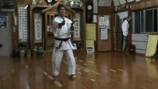 kata Sanseiryu Uechi ryu Karate Do Shohei ryu by Sensei Asao Nakasone 4 dan [upl. by Kiefer]