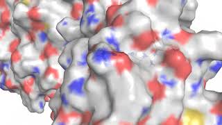 allosteric QM [upl. by Kimitri858]