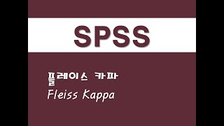 SPSS를 활용한 고급통계  28 플레이스 카파Fleiss Kappa [upl. by Hoffer]