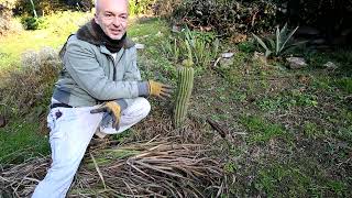 Video 269  Inverno in Giardino un tuffo nel ghiaccio [upl. by Nomaj252]