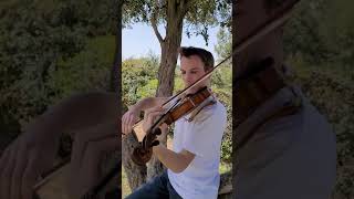 Jerusalema by Master KG  Israel Gatterer Magical Violin cover [upl. by Georgette]