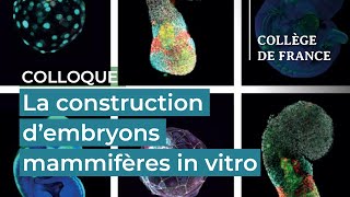 La construction dembryons mammifères in vitro 1 – Denis Duboule 20212022 [upl. by Dav]