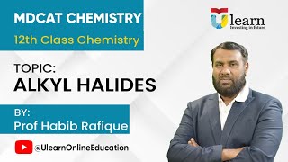 Reactivity of Alkyl Halide  CX Bond Energy amp Polarity Demystified [upl. by Nauqyt]