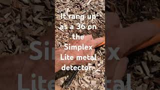 Nokta Simplex Lite metal detector does it again [upl. by Anal]