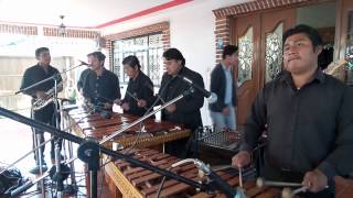 MARIMBA ESTRELLA DE TAPACHULAAMAR Y VIVIR [upl. by Dole]